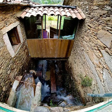 Casa Zebras * Carotes