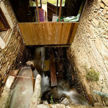 Casa Zebras Carotes