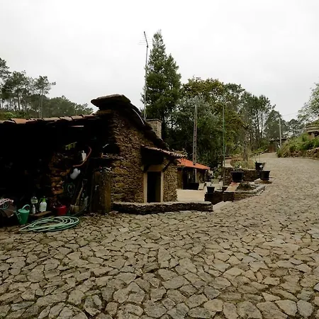 Casa Zebras
