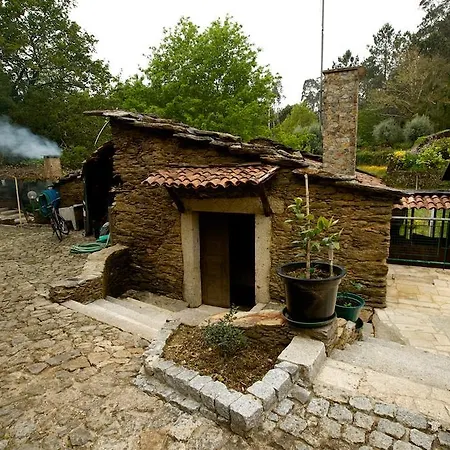 Casa Zebras